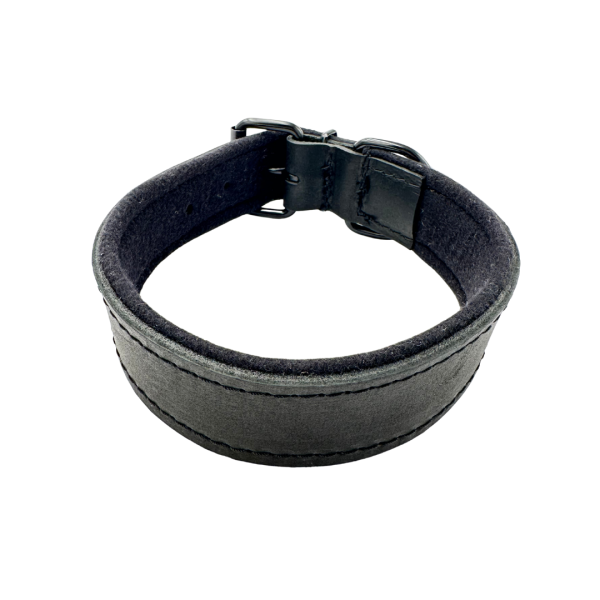 Hetzhalsband gefüttert ohne Handschlaufe