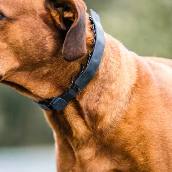 Sprenger Flexcover für 3,00mm & 3,25mm lang