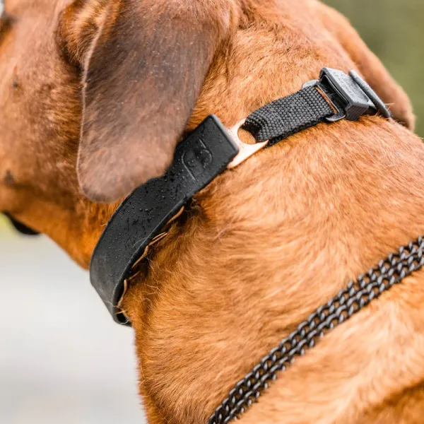 Sprenger Flexcover für 3,00mm & 3,25mm lang