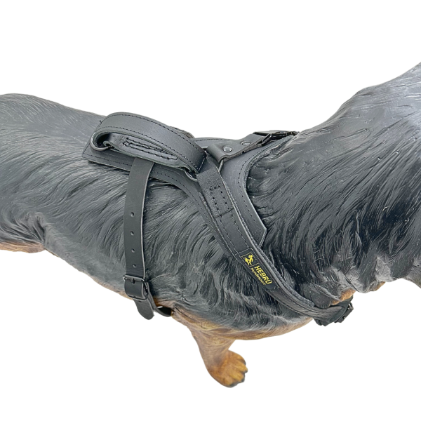 Protection Harnesk PRO